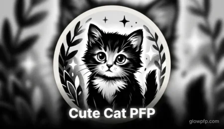 Cute Cat PFP